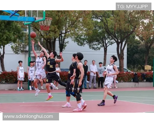 南京篮球队篮球意识排名创新高引发热议展现团队协作与战术智慧