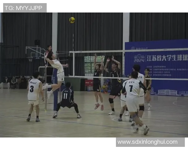 南京排球队的个人能力揭秘与训练之道探讨