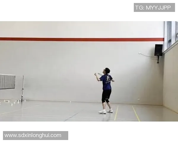 西安羽毛球队进攻战术解析与实战应用探讨