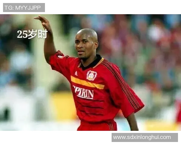 足球明星的辉煌旅程与传奇瞬间全景纪录片 足球明星的辉煌旅程与传奇瞬间全景纪录片