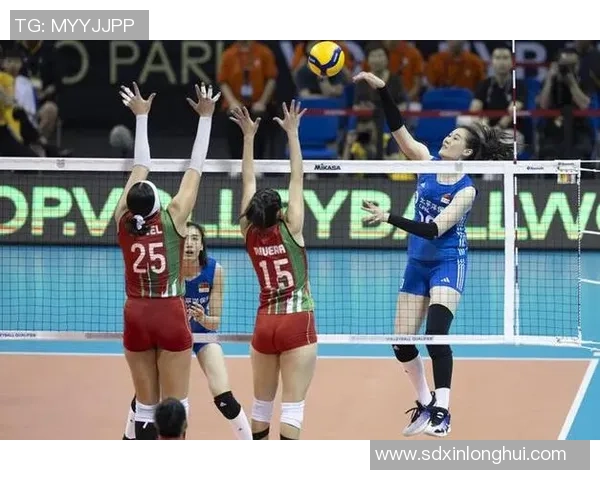 冠军赛积分榜：南京排球队以84分领跑