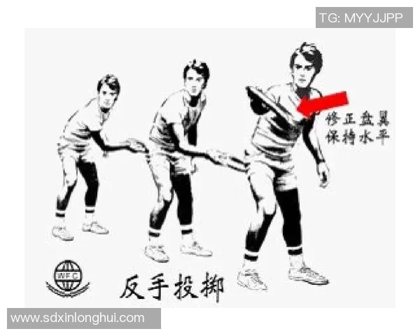 刘丽独家：分享飞盘心得