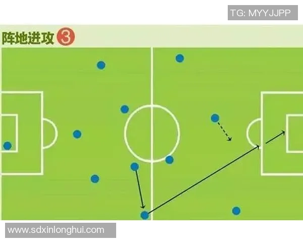 独家分析：深圳排球队的比赛经验对比