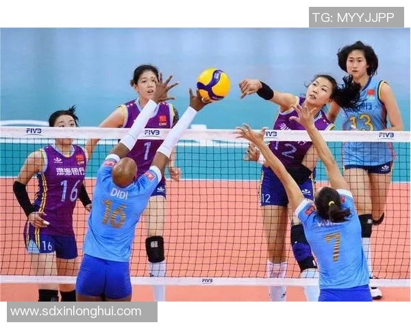 2026排球战术排行榜：深圳排球队位居第6名